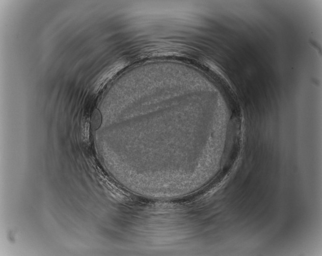X0000100420777200806271506
