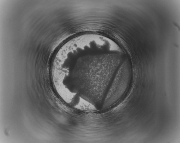 X0000100420779200806271506