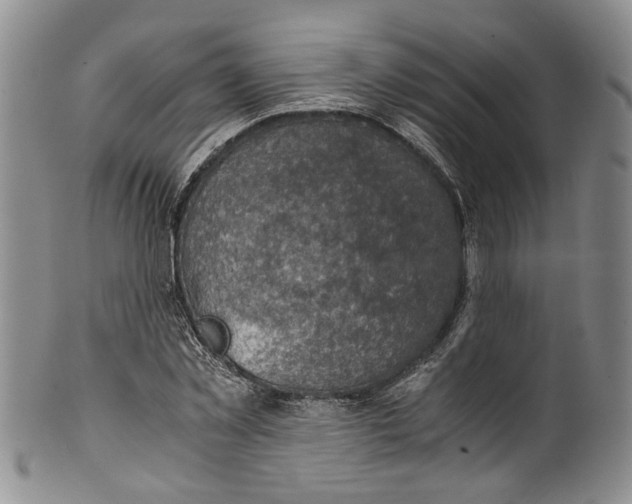 X0000100420781200806271506