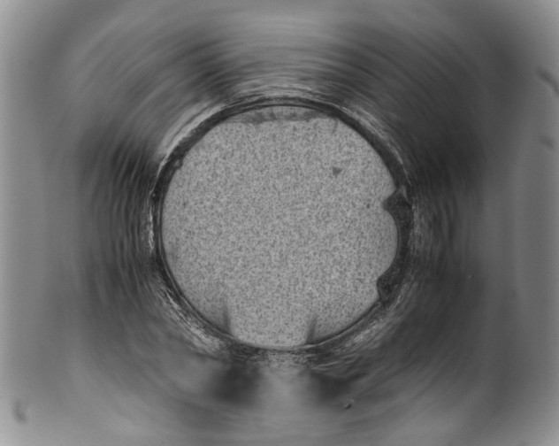 X0000100420782200806271506