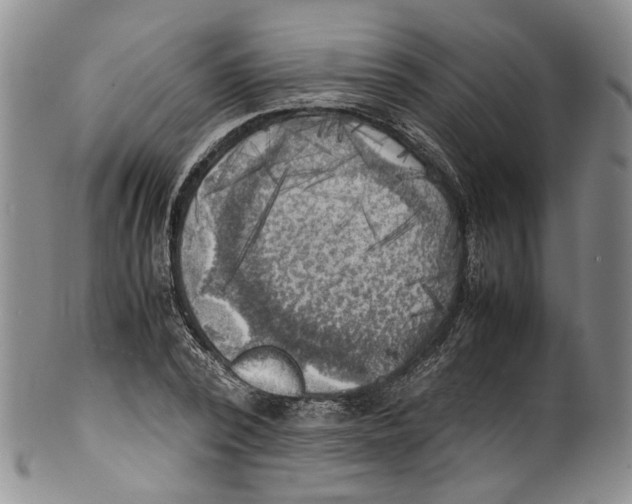 X0000100420784200806271506