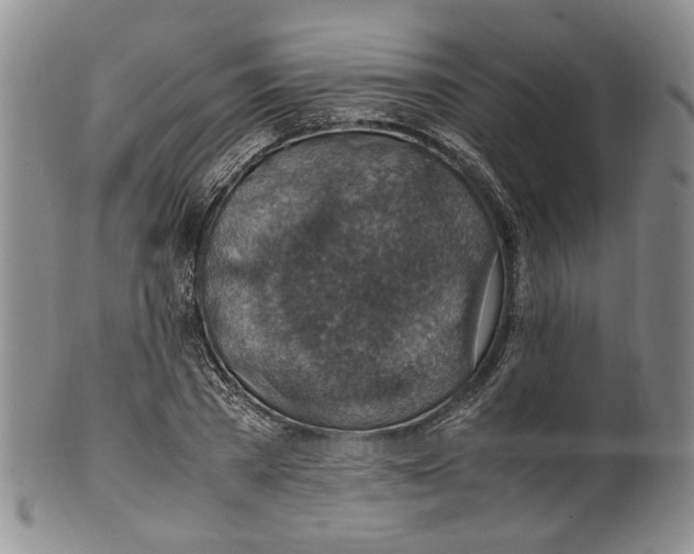 X0000100420785200806271506