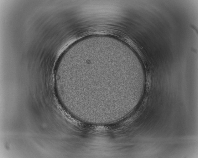 X0000100420787200806271506