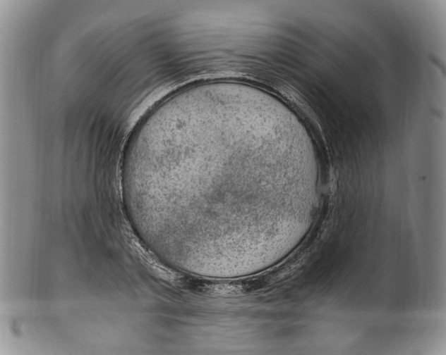X0000100420789200806271506