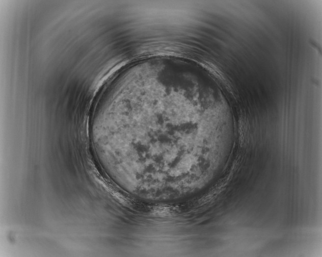 X0000100420790200806271506