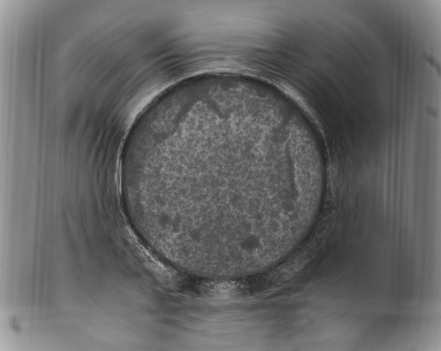 X0000100420791200806271505