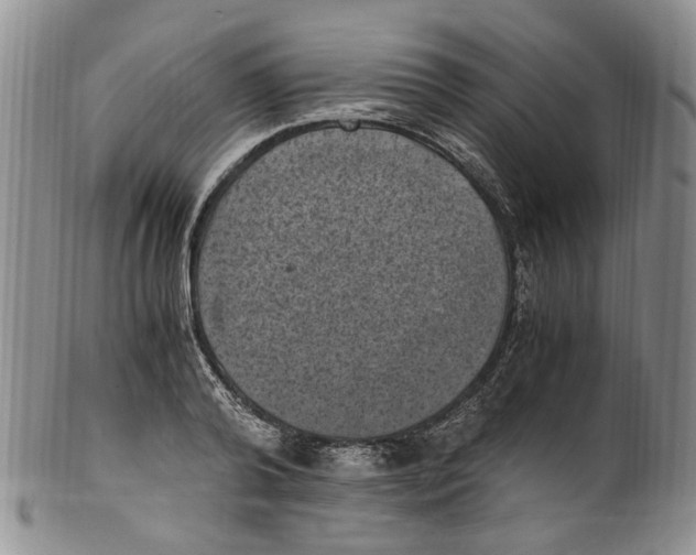 X0000100420792200806271505