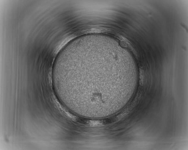 X0000100420794200806271505