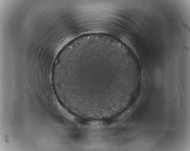 X0000100420797200806271505