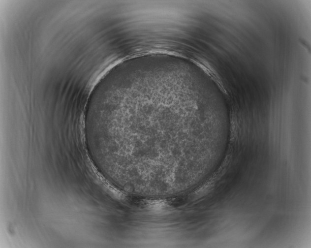X0000100420798200806271505