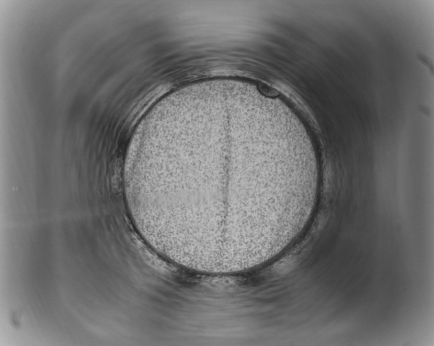 X0000100420801200806271505
