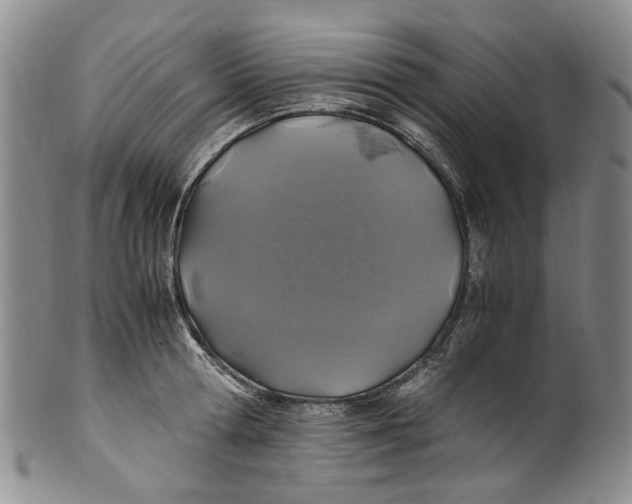 X0000100420802200806271505