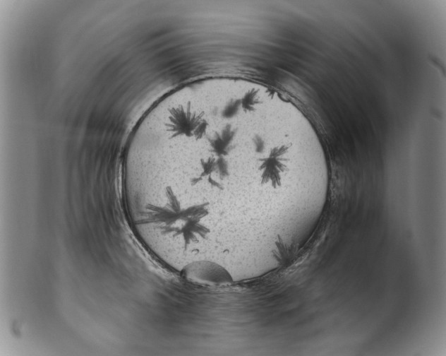 X0000100420804200806271505
