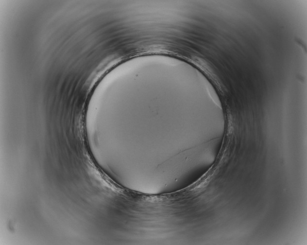 X0000100420806200806271505