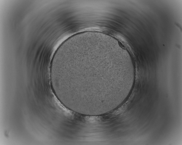 X0000100420808200806271505
