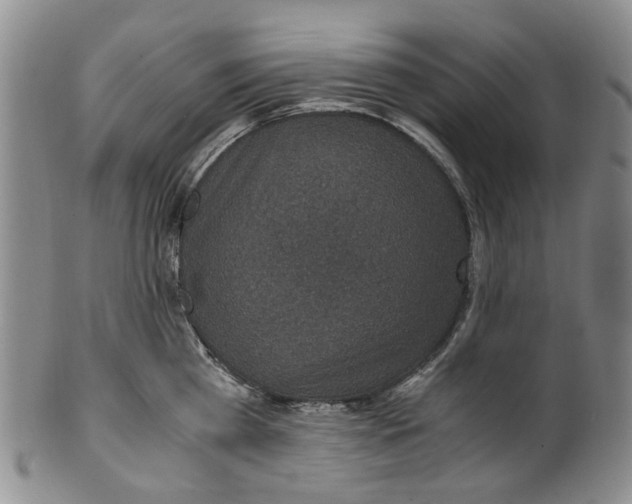 X0000100420809200806271505