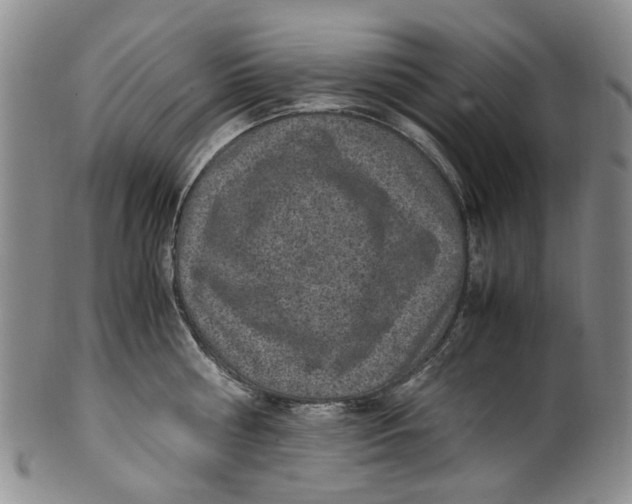 X0000100420810200806271505