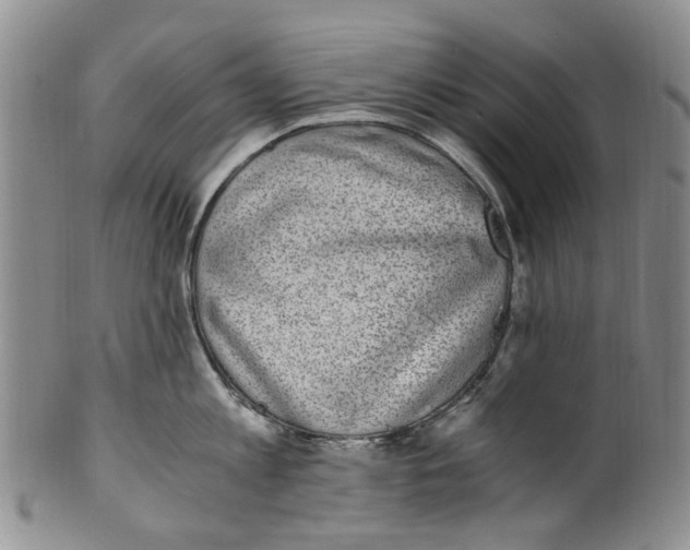 X0000100420813200806271505