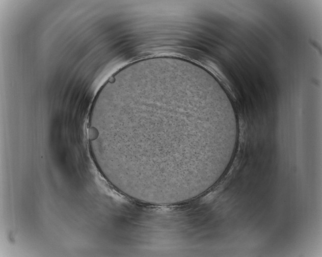 X0000100420814200806271505