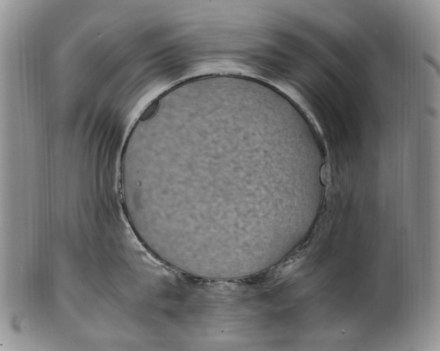 X0000100420815200806271505