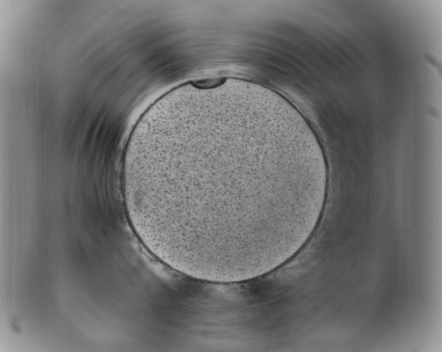 X0000100420816200806271505