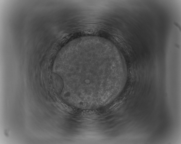 X0000100420817200806271504
