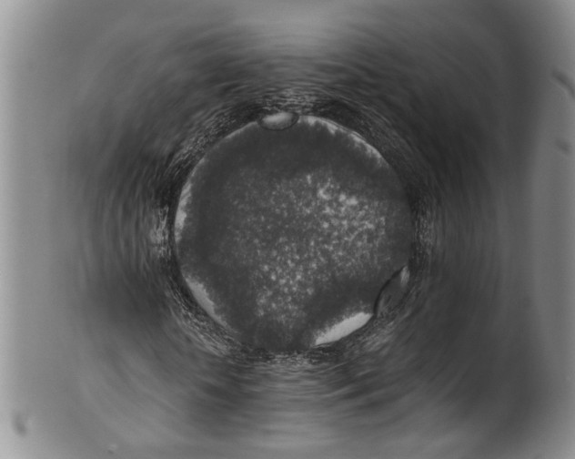 X0000100420818200806271504