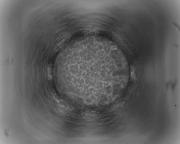 X0000100420819200806271505