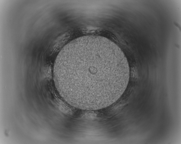 X0000100420820200806271505
