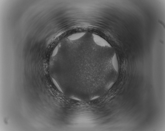X0000100420822200806271505