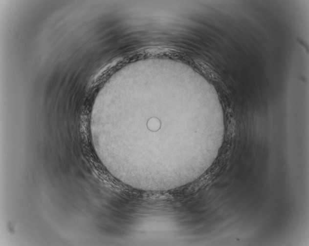 X0000100420824200806271505