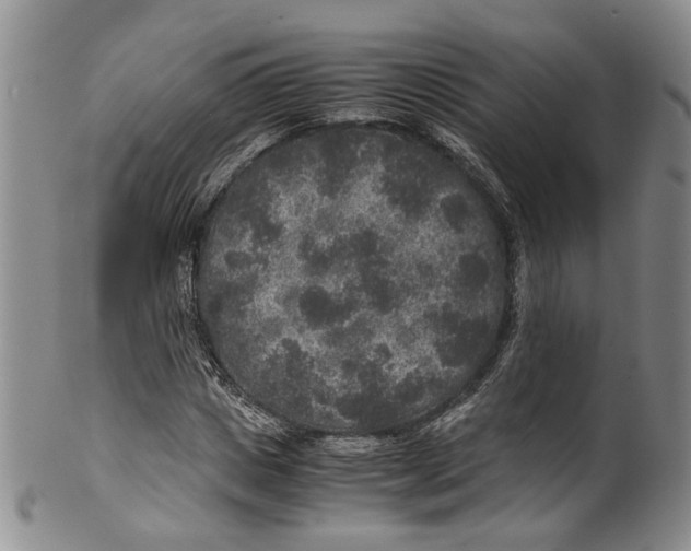 X0000100420825200806271505