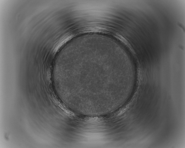 X0000100420826200806271505