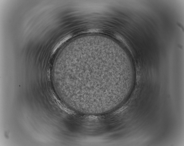 X0000100420827200806271505