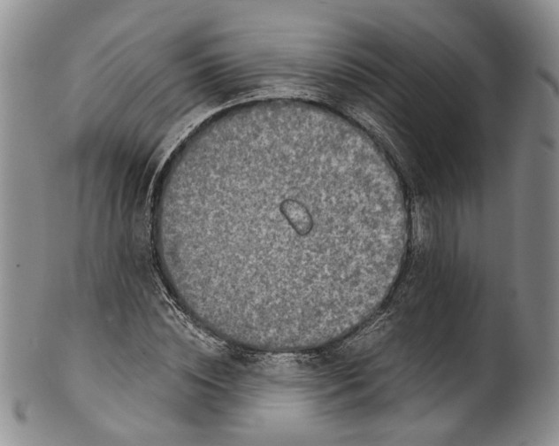 X0000100420828200806271505