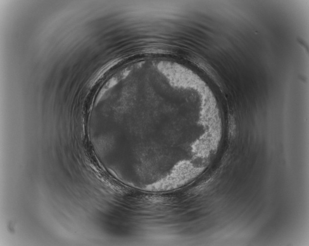 X0000100420829200806271505