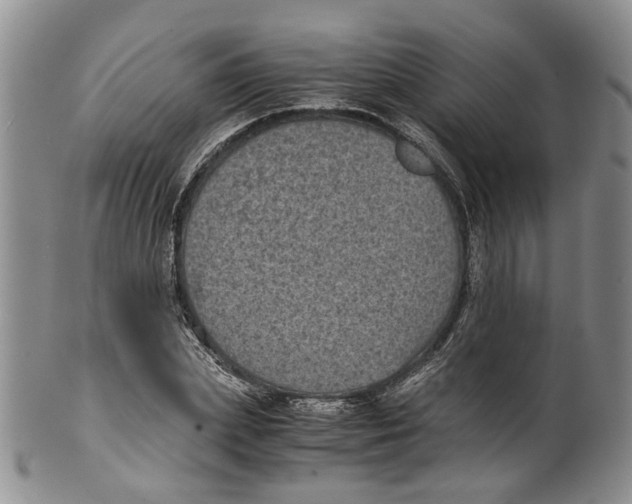 X0000100420831200806271505