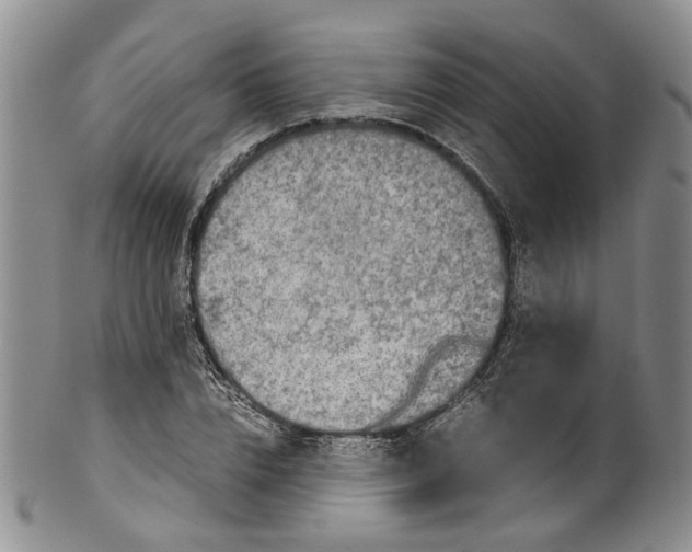 X0000100420832200806271505