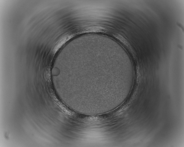 X0000100420834200806271505
