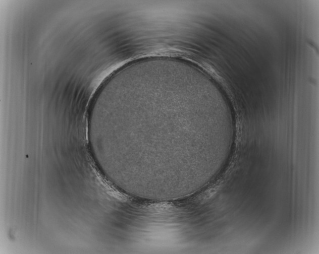 X0000100420838200806271505