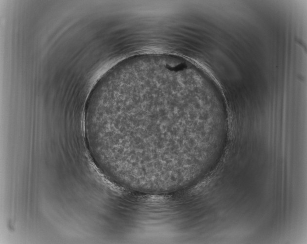 X0000100420839200806271505