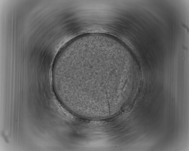 X0000100420840200806271505