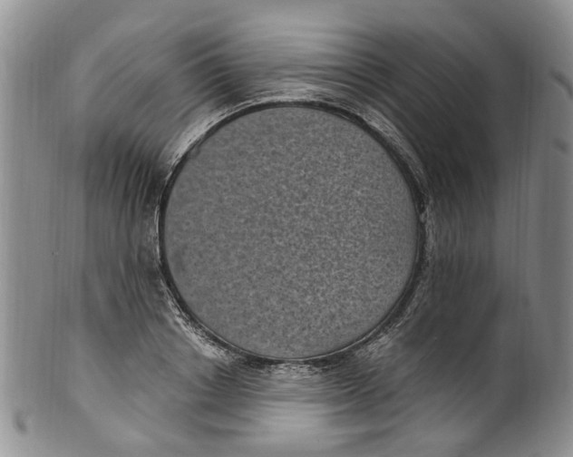 X0000100420842200806271505