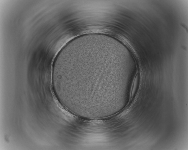 X0000100420844200806271505