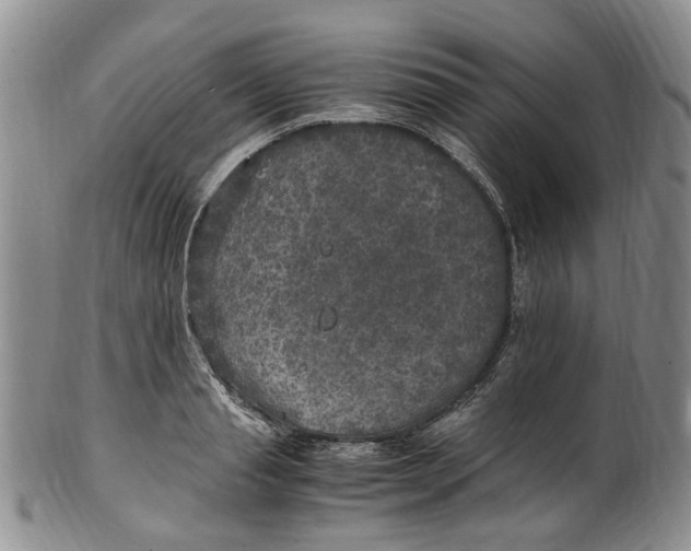 X0000100420845200806271505