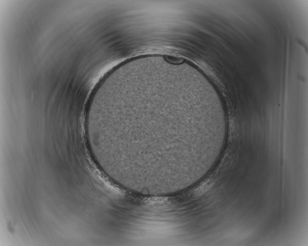 X0000100420846200806271505