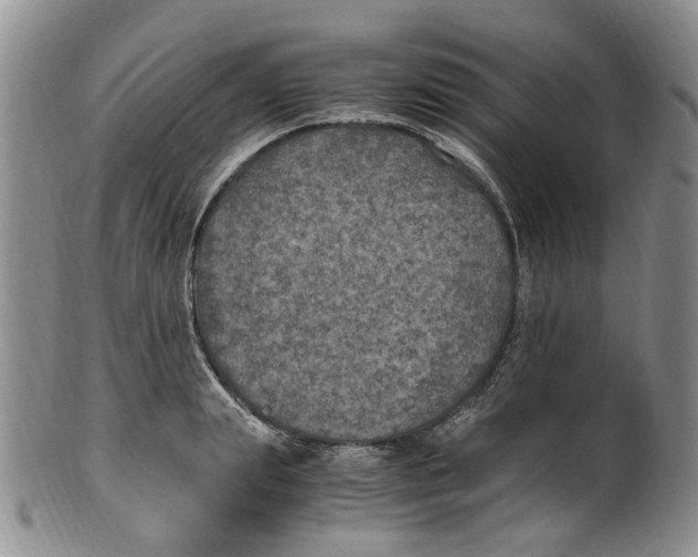 X0000100420847200806271505