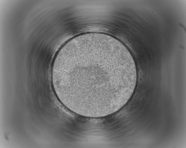 X0000100420848200806271505