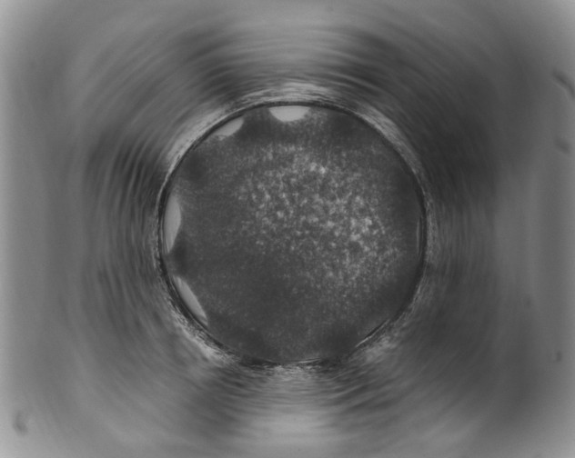 X0000100420850200806271505