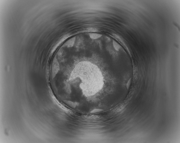 X0000100420851200806271505